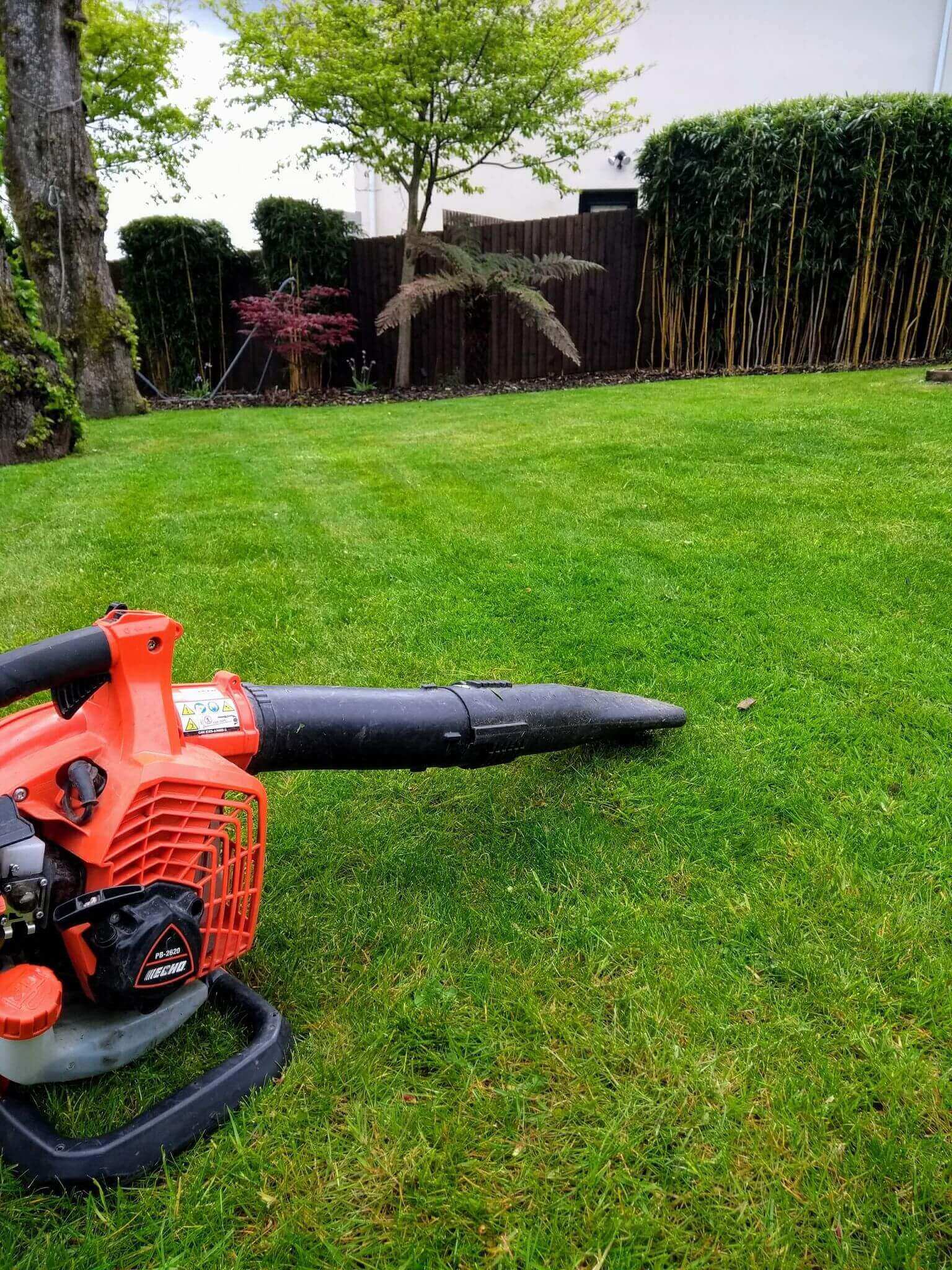 Lewis Garden Services Leaf Blower